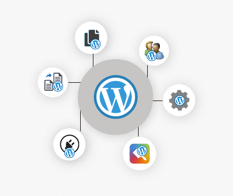 Wordpress manager